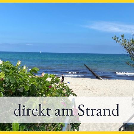 Ostseebad Kühlungsborn 3 Zimmer App Duenengarten Fewo 58 מראה חיצוני תמונה