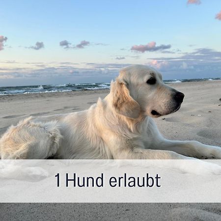 Ostseebad Kühlungsborn 3 Zimmer App Duenengarten Fewo 58 מראה חיצוני תמונה