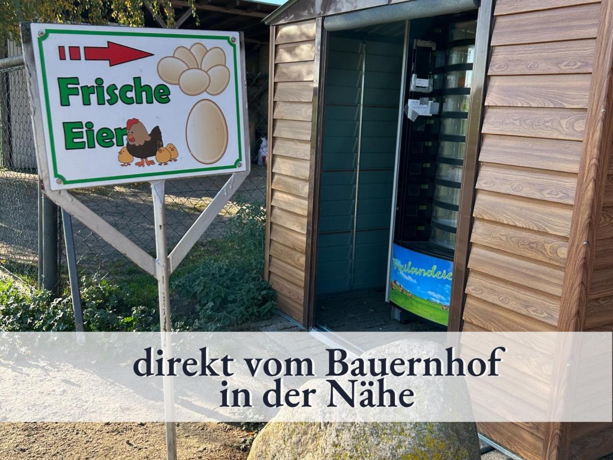 Ostseebad Kühlungsborn 3 Zimmer App Duenengarten Fewo 58 מראה חיצוני תמונה