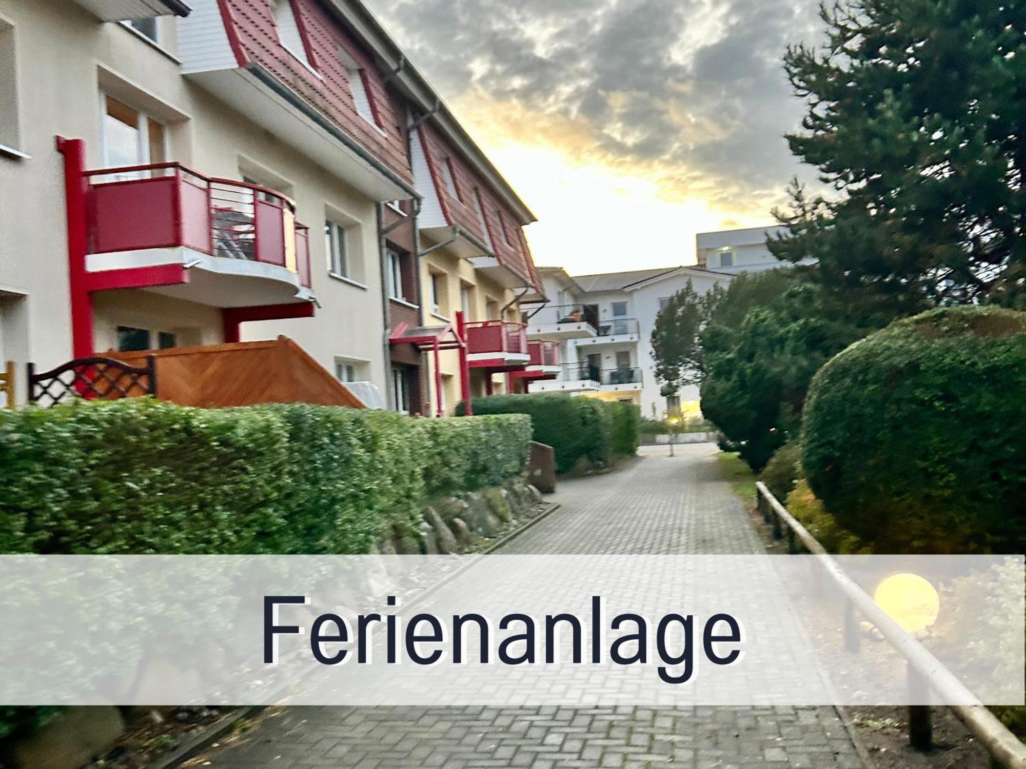 Ostseebad Kühlungsborn 3 Zimmer App Duenengarten Fewo 58 מראה חיצוני תמונה