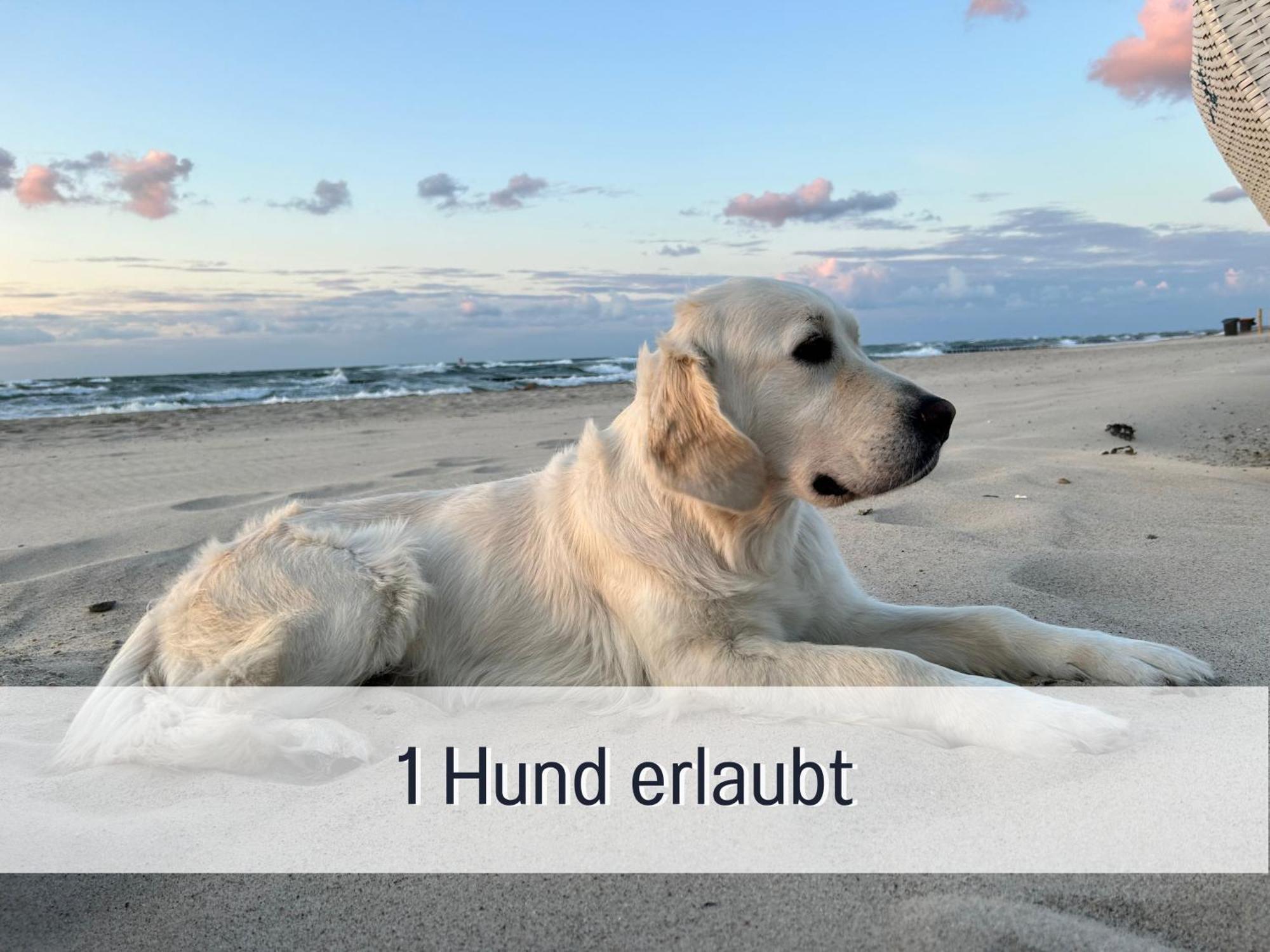 Ostseebad Kühlungsborn 3 Zimmer App Duenengarten Fewo 58 מראה חיצוני תמונה